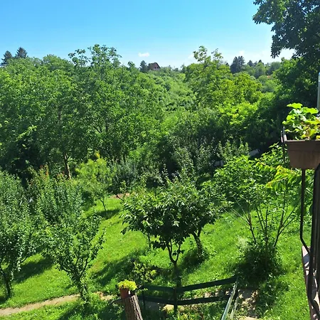 Ferienhaus Kuca Za Odmor Sara *