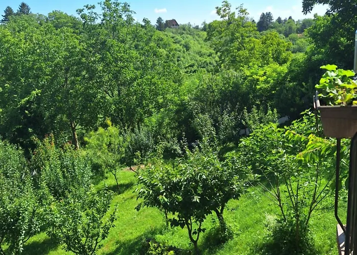 펜션 Kuca Za Odmor Sara *